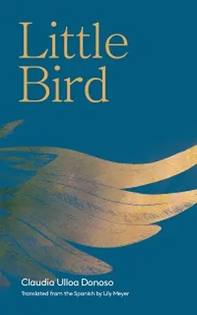 Donoso |  Little Bird | eBook | Sack Fachmedien