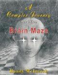 McIntosh |  A Complex Journey  - Brain Maze | eBook | Sack Fachmedien