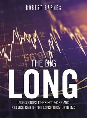 Barnes |  The Big Long | eBook | Sack Fachmedien