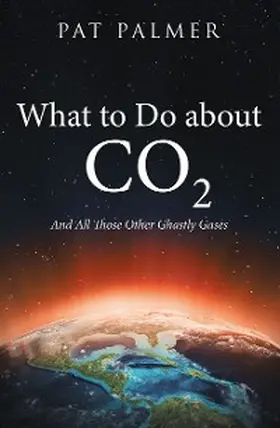 Palmer |  What to Do About Co2 | eBook | Sack Fachmedien
