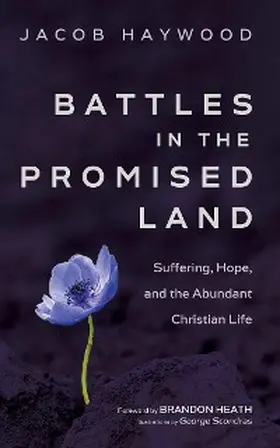 Haywood |  Battles in the Promised Land | eBook | Sack Fachmedien