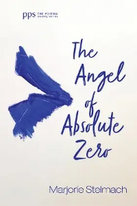 Stelmach |  The Angel of Absolute Zero | eBook | Sack Fachmedien