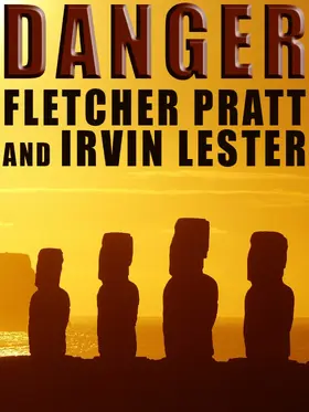Pratt / Lester |  Danger | eBook | Sack Fachmedien
