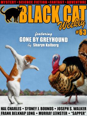 Kolberg / Bounds / Walker | Black Cat Weekly #63 | E-Book | sack.de