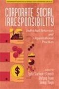 Amann / Stachowicz¿Stanusch / Mangia |  Corporate Social Irresponsibility | Buch |  Sack Fachmedien
