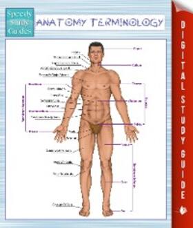 Publishing |  Anatomy Terminology (Speedy Study Guides) | eBook | Sack Fachmedien