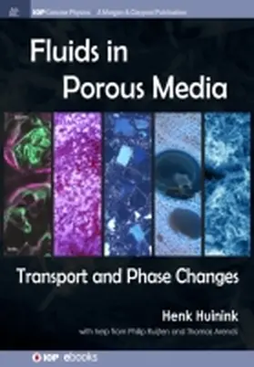 Huinink |  Fluids in Porous Media | Buch |  Sack Fachmedien