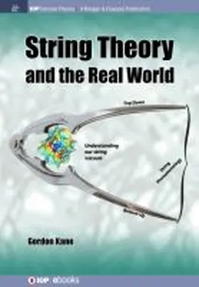 Kane |  String Theory and the Real World | Buch |  Sack Fachmedien