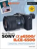 Busch |  David Busch's Sony Alpha a6500/ILCE-6500 Guide to Digital Photography | eBook | Sack Fachmedien
