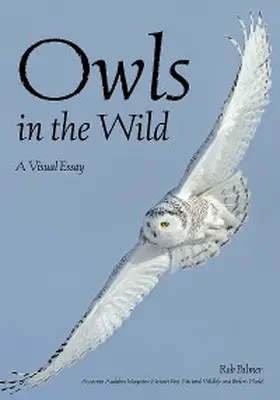 Palmer |  Owls In The Wild | eBook | Sack Fachmedien