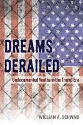 Schwab |  Dreams Derailed | Buch |  Sack Fachmedien