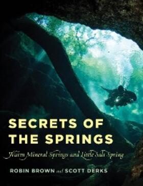 Brown / Derks |  Secrets of the Springs | eBook | Sack Fachmedien