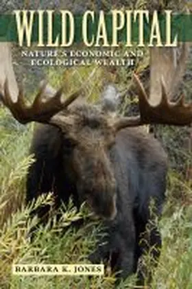 Jones |  Wild Capital | Buch |  Sack Fachmedien