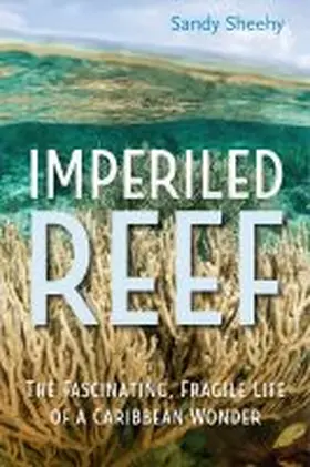 Sheehy |  Imperiled Reef | Buch |  Sack Fachmedien