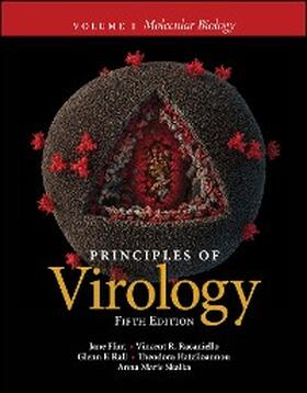 Flint / Racaniello / Rall |  Principles of Virology, Volume 1 | eBook | Sack Fachmedien
