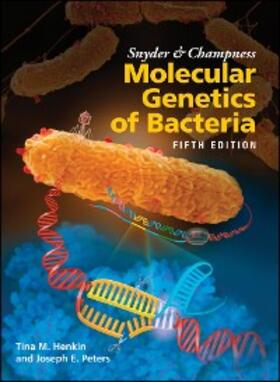 Henkin / Peters |  Snyder and Champness Molecular Genetics of Bacteria | eBook | Sack Fachmedien