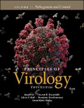 Flint / Racaniello / Rall | Principles of Virology, Volume 2 | E-Book | sack.de