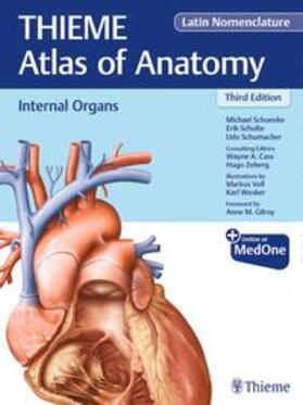 Schuenke / Schulte / Schumacher |  Internal Organs (Thieme Atlas of Anatomy), Latin Nomenclature | Buch |  Sack Fachmedien