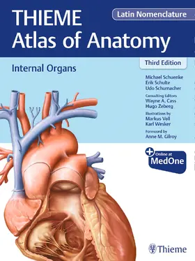 Schuenke / Schulte / Schumacher |  Internal Organs (THIEME Atlas of Anatomy), Latin Nomenclature | eBook | Sack Fachmedien