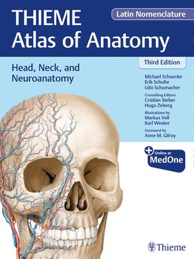 Schuenke / Schulte / Schumacher | Head, Neck, and Neuroanatomy (THIEME Atlas of Anatomy), Latin Nomenclature | E-Book | sack.de