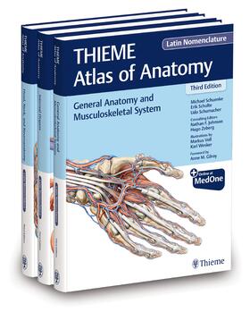 Schuenke / Schulte / Schumacher | THIEME Atlas of Anatomy, Latin Nomenclature, Three Volume Set, Third Edition | Buch | 978-1-68420-453-3 | sack.de