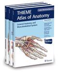 Schuenke / Schulte / Schumacher |  THIEME Atlas of Anatomy, Latin Nomenclature, Three Volume Set, Third Edition | Buch |  Sack Fachmedien