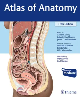 Gilroy / MacPherson / Wikenheiser |  Atlas of Anatomy | eBook | Sack Fachmedien