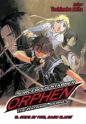 Akita |  Sorcerous Stabber Orphen: The Wayward Journey Volume 13 | eBook | Sack Fachmedien