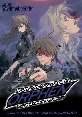 Akita |  Sorcerous Stabber Orphen: The Wayward Journey Volume 17 | eBook | Sack Fachmedien