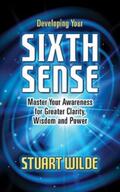 Wilde |  Developing Your Sixth Sense | eBook | Sack Fachmedien