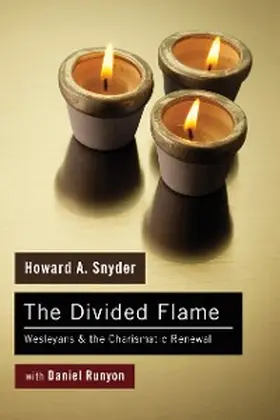 Snyder / Runyon |  The Divided Flame | eBook | Sack Fachmedien