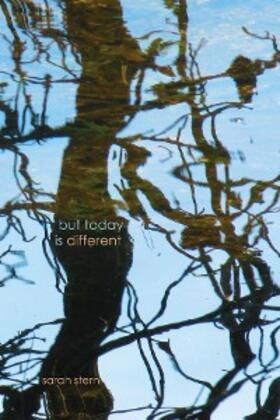 Stern |  But Today Is Different | eBook | Sack Fachmedien