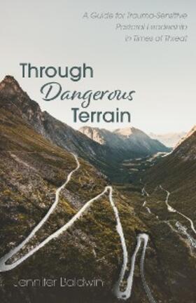 Baldwin |  Through Dangerous Terrain | eBook | Sack Fachmedien