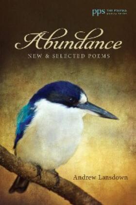 Lansdown |  Abundance | eBook | Sack Fachmedien