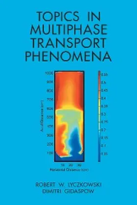 Lyczkowski / Gidaspow |  Topics in Multiphase Transport Phenomena | eBook | Sack Fachmedien