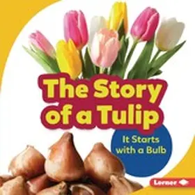 Owings |  Story of a Tulip | eBook | Sack Fachmedien
