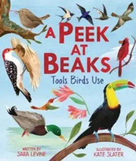Levine |  Peek at Beaks | eBook | Sack Fachmedien