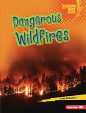 Schaefer |  Dangerous Wildfires | eBook | Sack Fachmedien