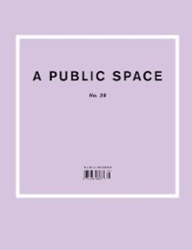 Hughes |  A Public Space No. 28 | eBook | Sack Fachmedien