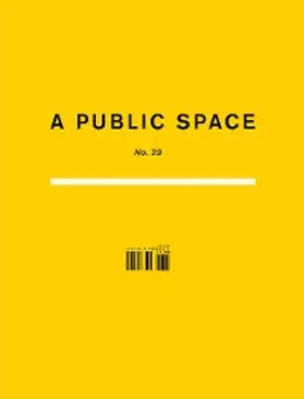 Hughes |  A Public Space No. 29 | eBook | Sack Fachmedien