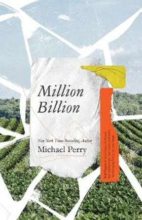 Perry |  Million Billion | eBook | Sack Fachmedien