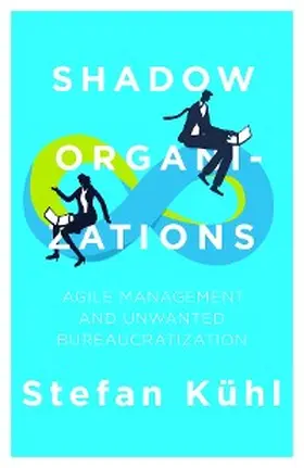 Kühl |  Shadow Organizations | eBook | Sack Fachmedien