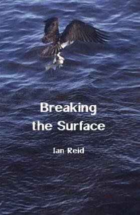 Reid |  Breaking the Surface | eBook | Sack Fachmedien