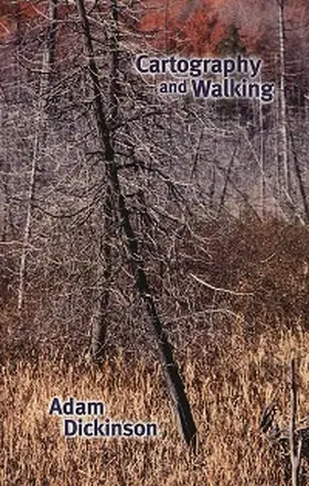 Dickinson |  Cartography and Walking | eBook | Sack Fachmedien