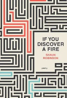 Robinson |  If You Discover a Fire | eBook | Sack Fachmedien