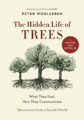 Wohlleben |  The Hidden Life of Trees | Buch |  Sack Fachmedien