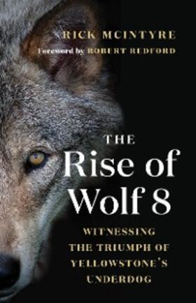 McIntyre | The Rise of Wolf 8 | E-Book | sack.de