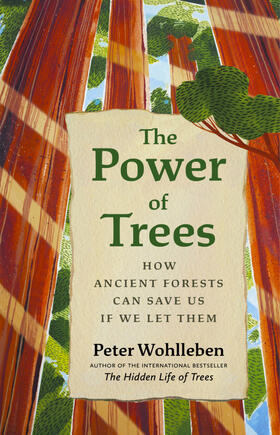 Wohlleben / Billinghurst |  The Power of Trees | Buch |  Sack Fachmedien