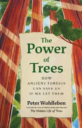 Wohlleben |  The Power of Trees | eBook | Sack Fachmedien
