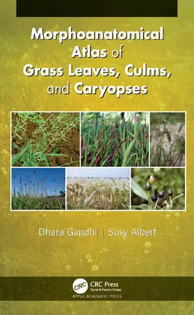 Gandhi / Albert |  Morphoanatomical Atlas of Grass Leaves, Culms, and Caryopses | Buch |  Sack Fachmedien